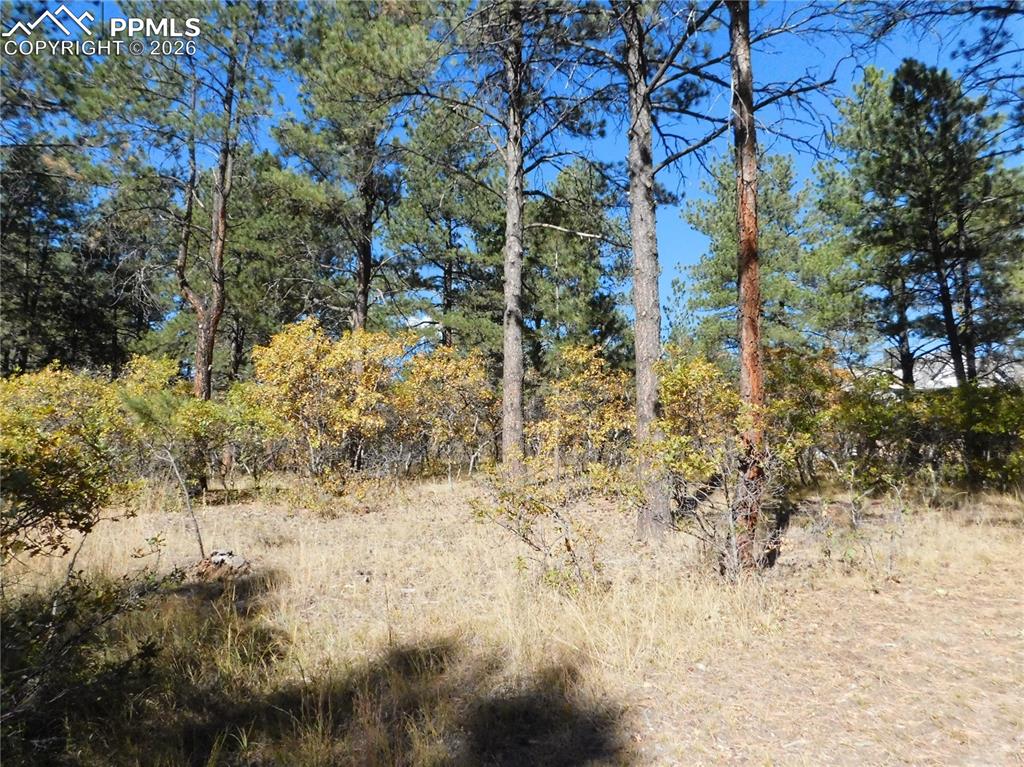 682 Copper Fox Place Larkspur CO 80118