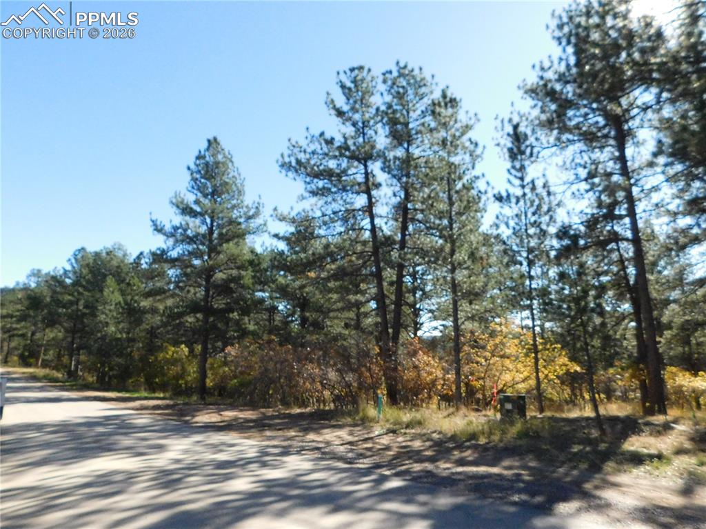 682 Copper Fox Place Larkspur CO 80118