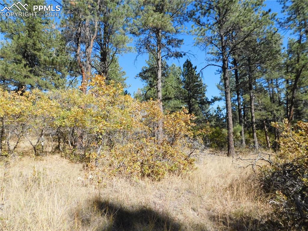 682 Copper Fox Place Larkspur CO 80118
