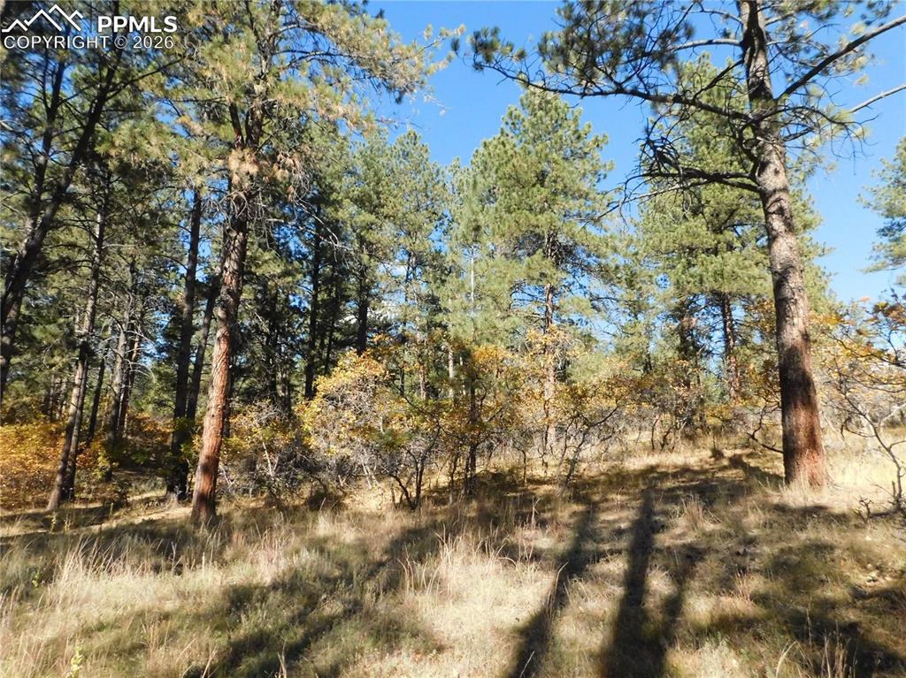 682 Copper Fox Place Larkspur CO 80118
