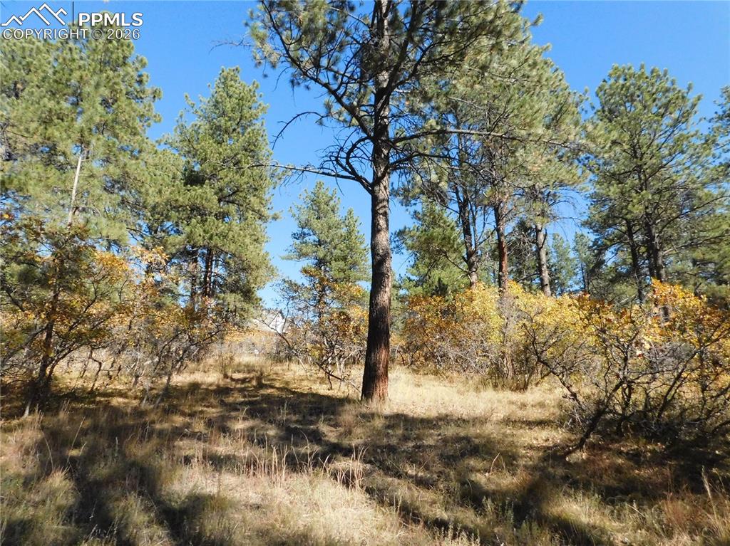 682 Copper Fox Place Larkspur CO 80118