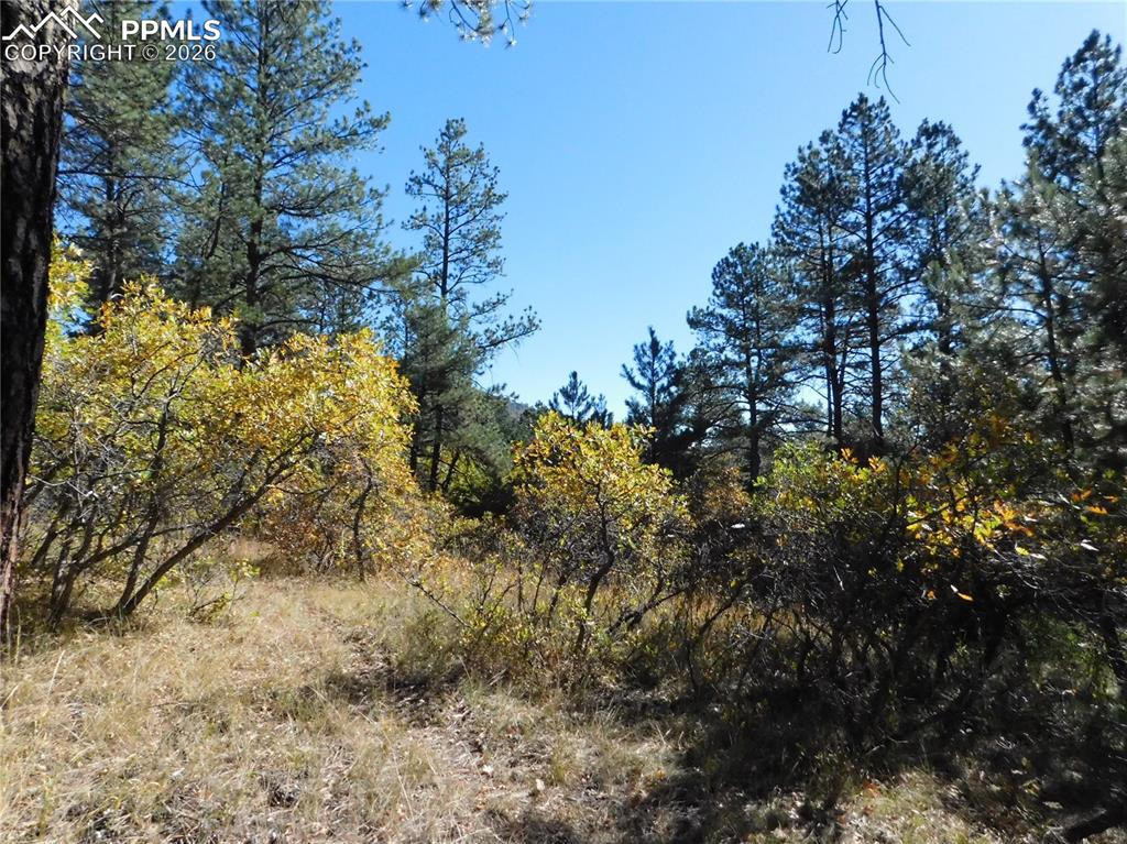 682 Copper Fox Place Larkspur CO 80118