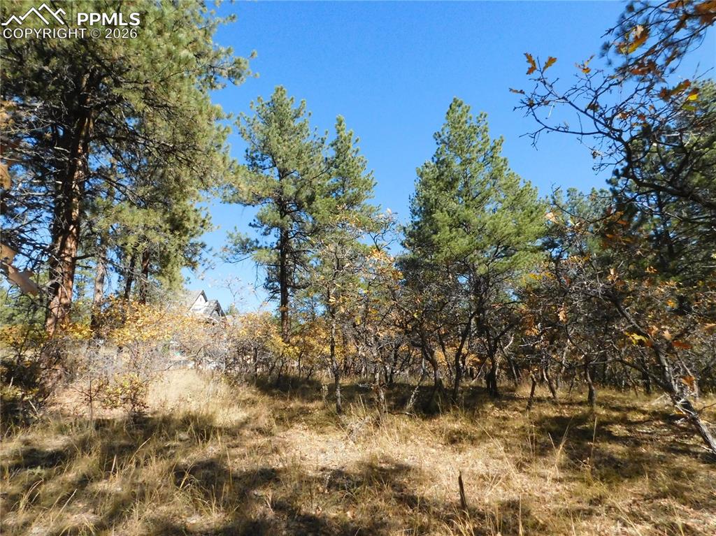 682 Copper Fox Place Larkspur CO 80118