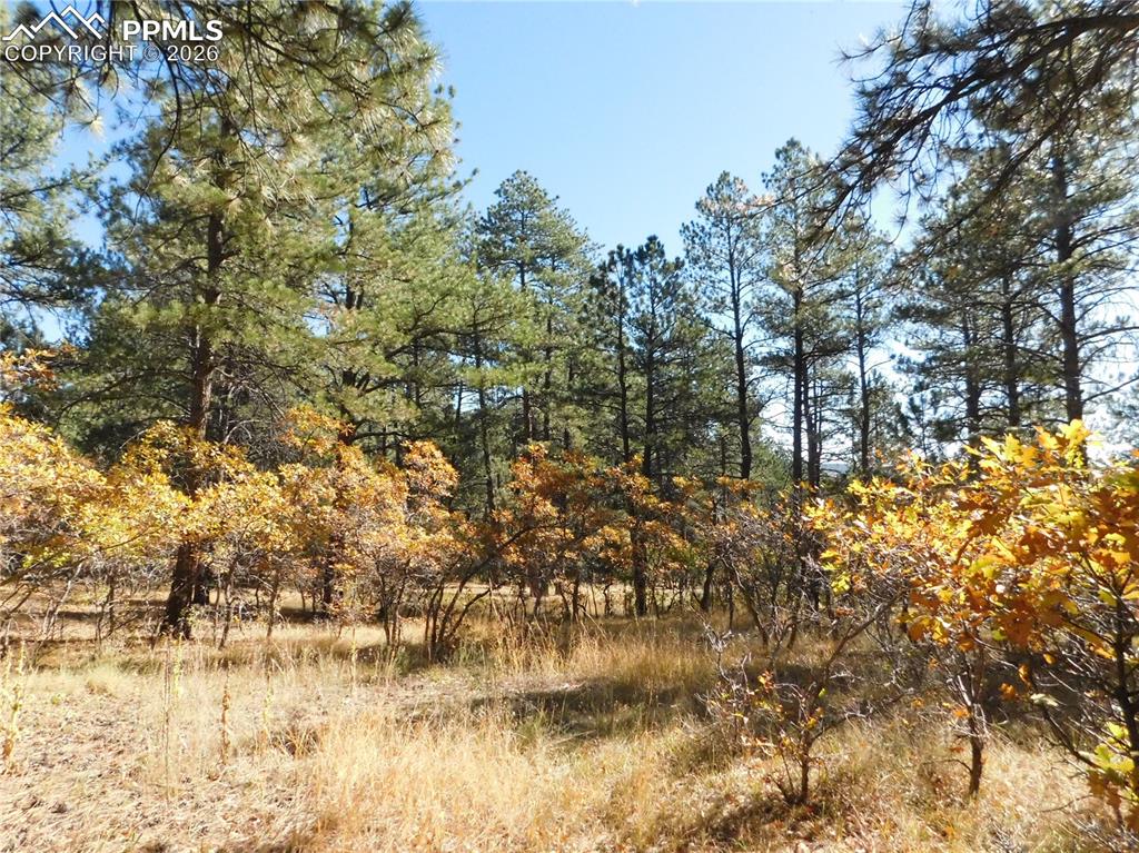 682 Copper Fox Place Larkspur CO 80118