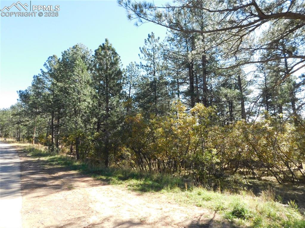 682 Copper Fox Place Larkspur CO 80118