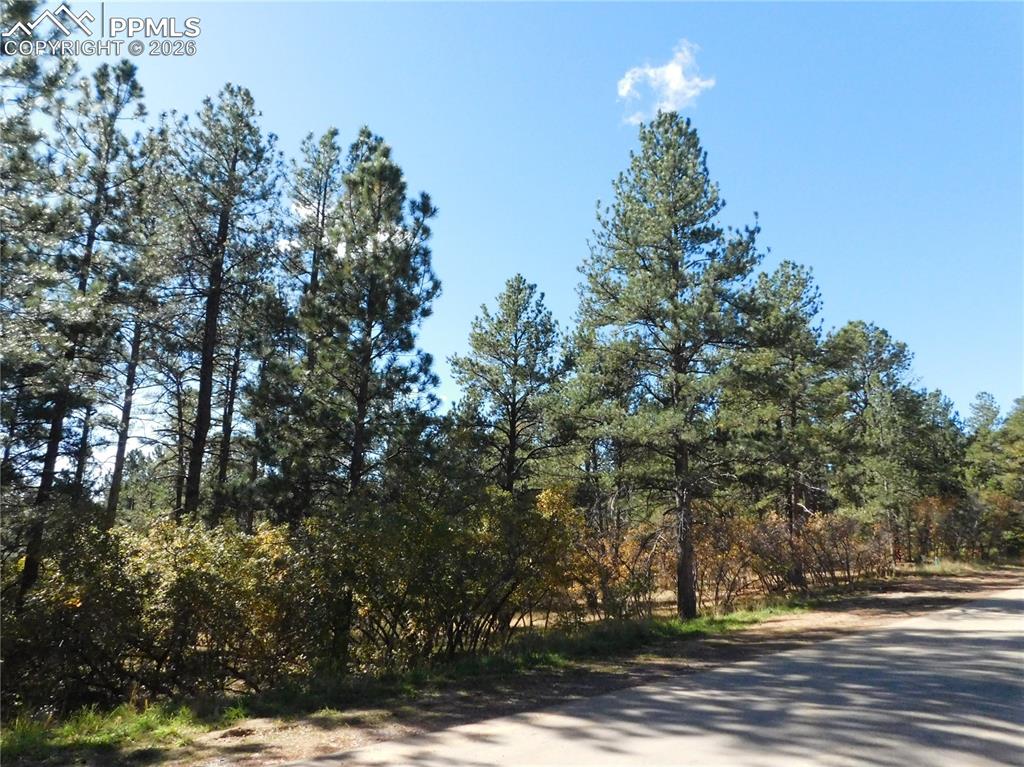 682 Copper Fox Place Larkspur CO 80118