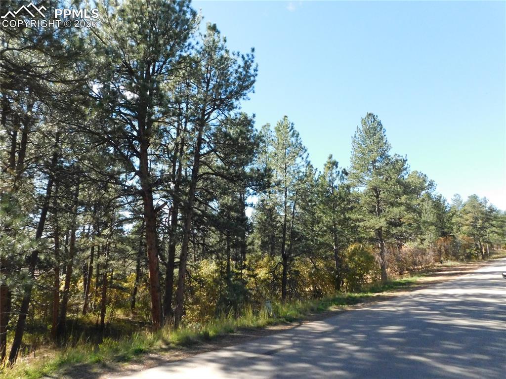 682 Copper Fox Place Larkspur CO 80118