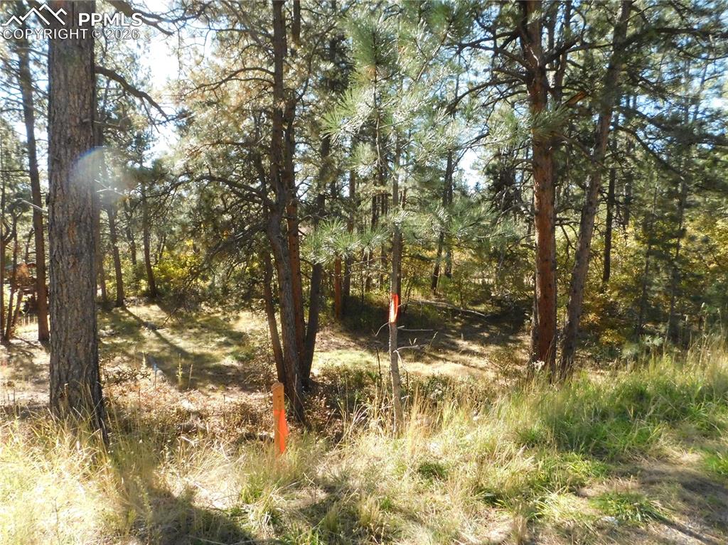 682 Copper Fox Place Larkspur CO 80118