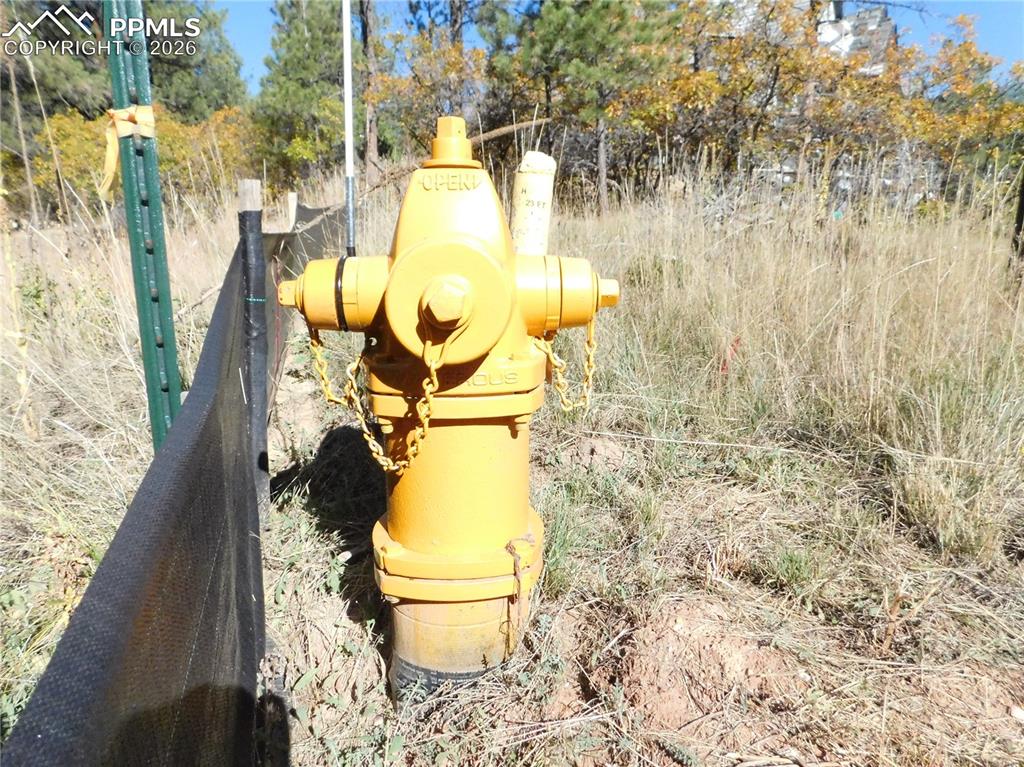 682 Copper Fox Place Larkspur CO 80118