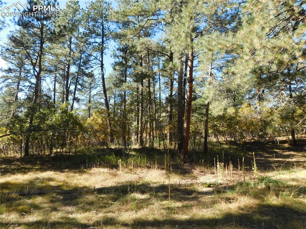682 Copper Fox Place Larkspur CO 80118