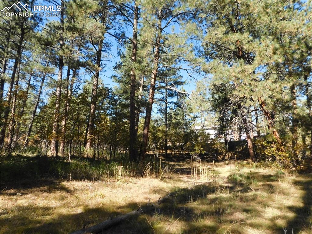 682 Copper Fox Place Larkspur CO 80118
