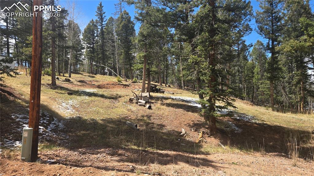 151 Mount Elbert Road Florissant CO 80816