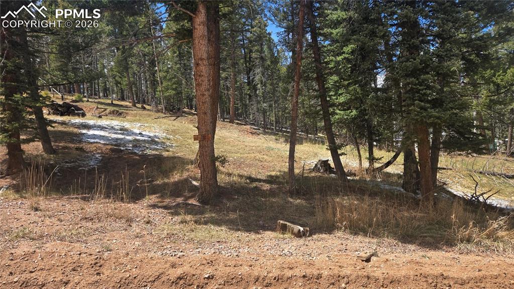 151 Mount Elbert Road Florissant CO 80816
