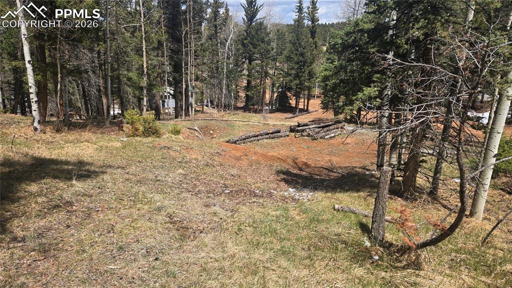 151 Mount Elbert Road Florissant CO 80816