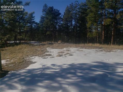 206 Eagles Perch Place Woodland Park CO 80863