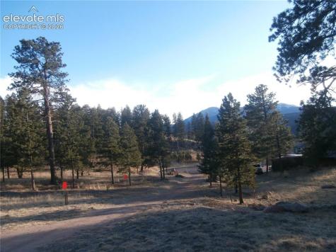 206 Eagles Perch Place Woodland Park CO 80863