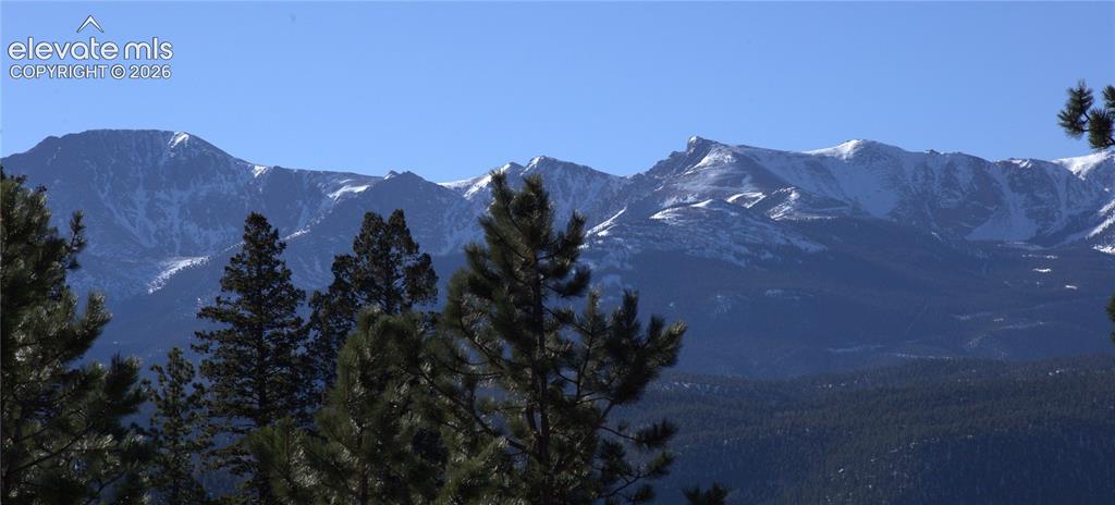 206 Eagles Perch Place Woodland Park CO 80863