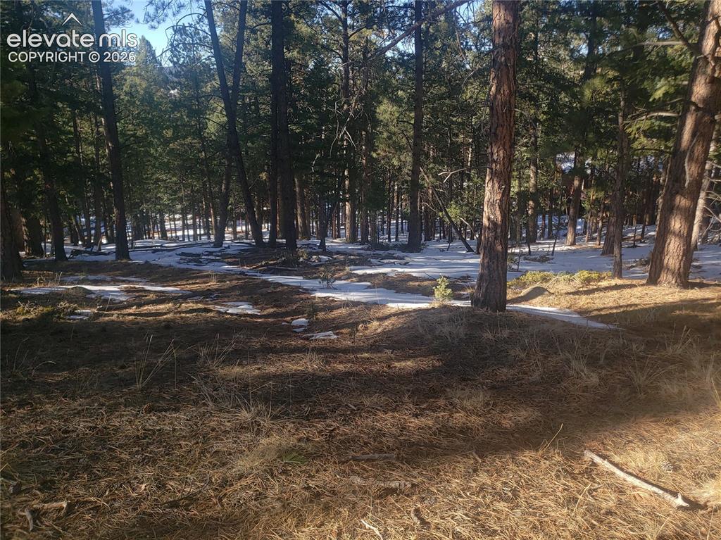 206 Eagles Perch Place Woodland Park CO 80863