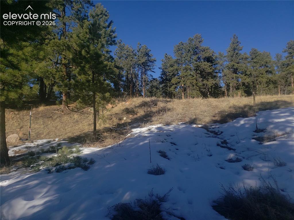206 Eagles Perch Place Woodland Park CO 80863