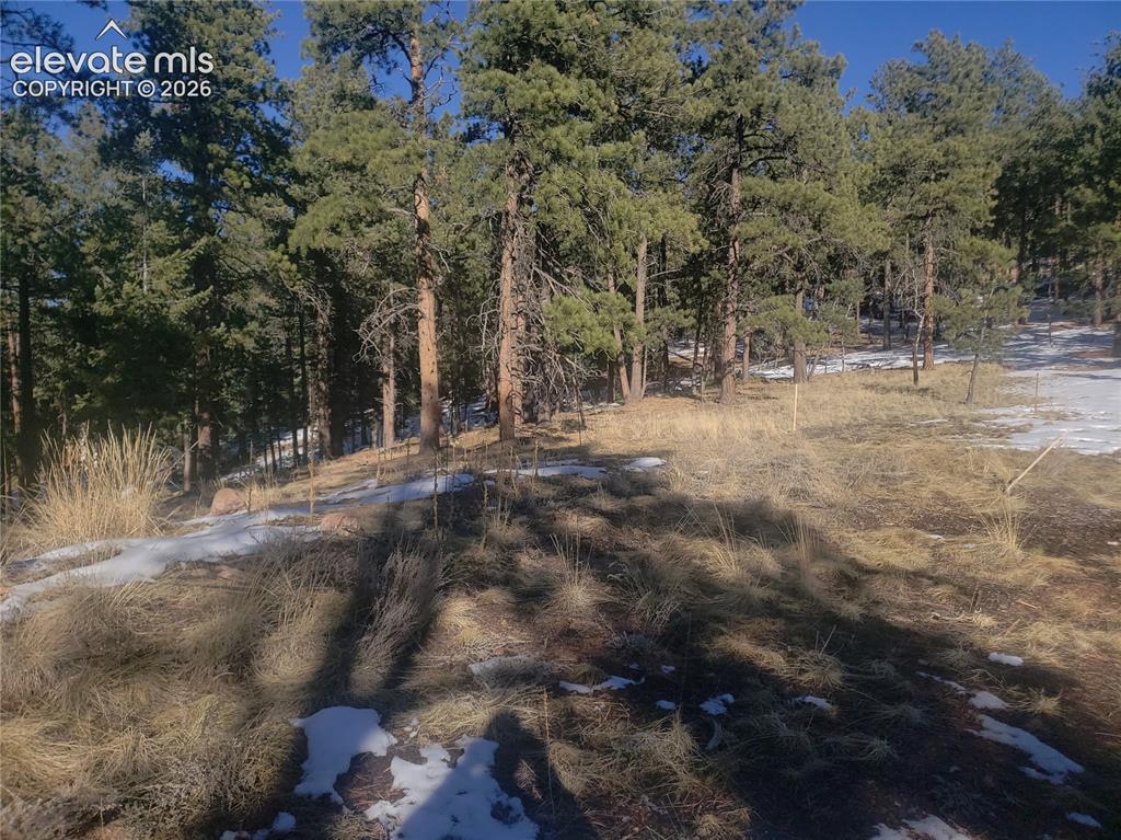 206 Eagles Perch Place Woodland Park CO 80863