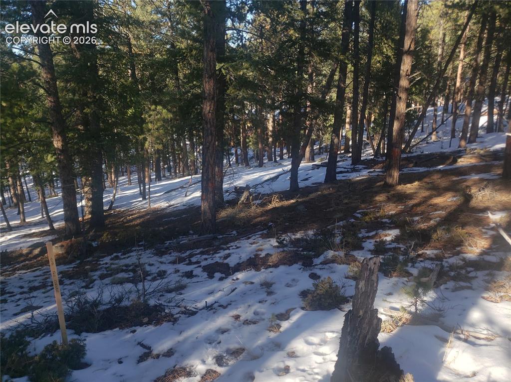 206 Eagles Perch Place Woodland Park CO 80863