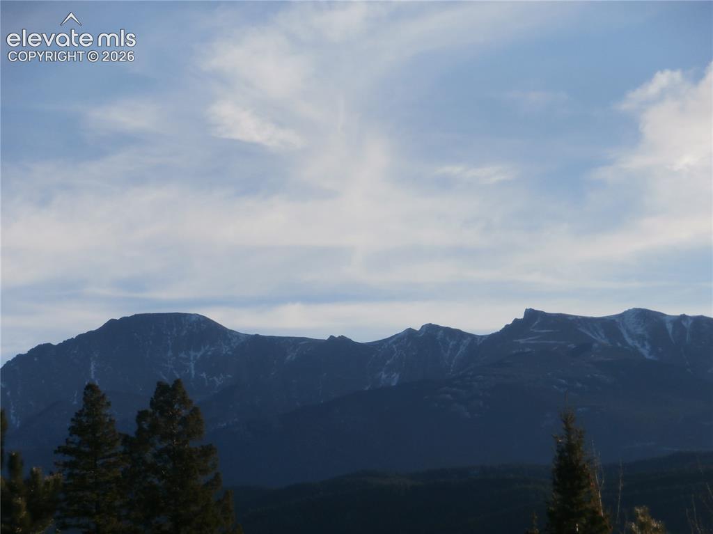 206 Eagles Perch Place Woodland Park CO 80863