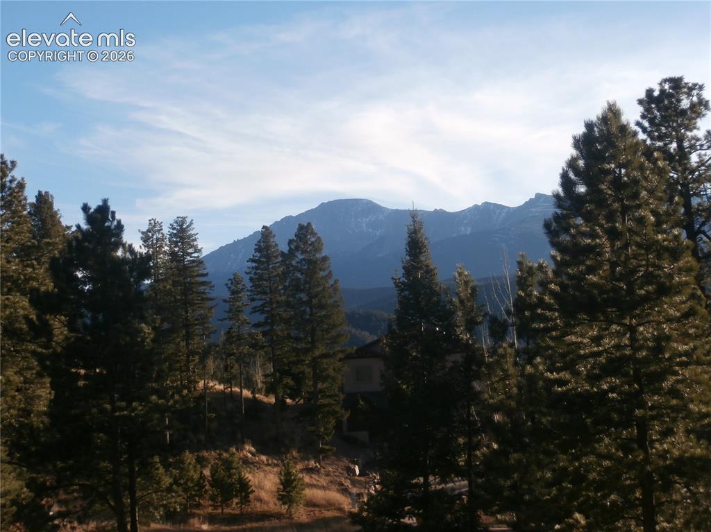206 Eagles Perch Place Woodland Park CO 80863