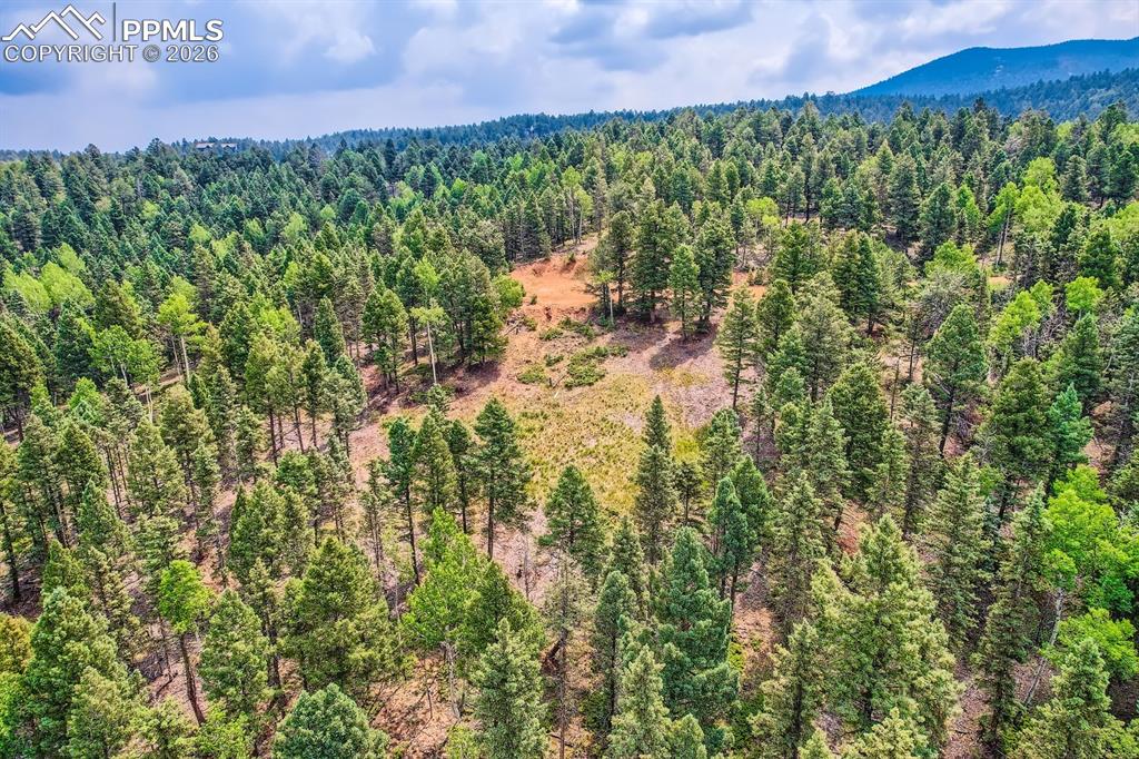 4600 Elk Valley Road Divide CO 80814