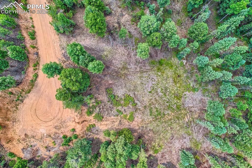 4600 Elk Valley Road Divide CO 80814