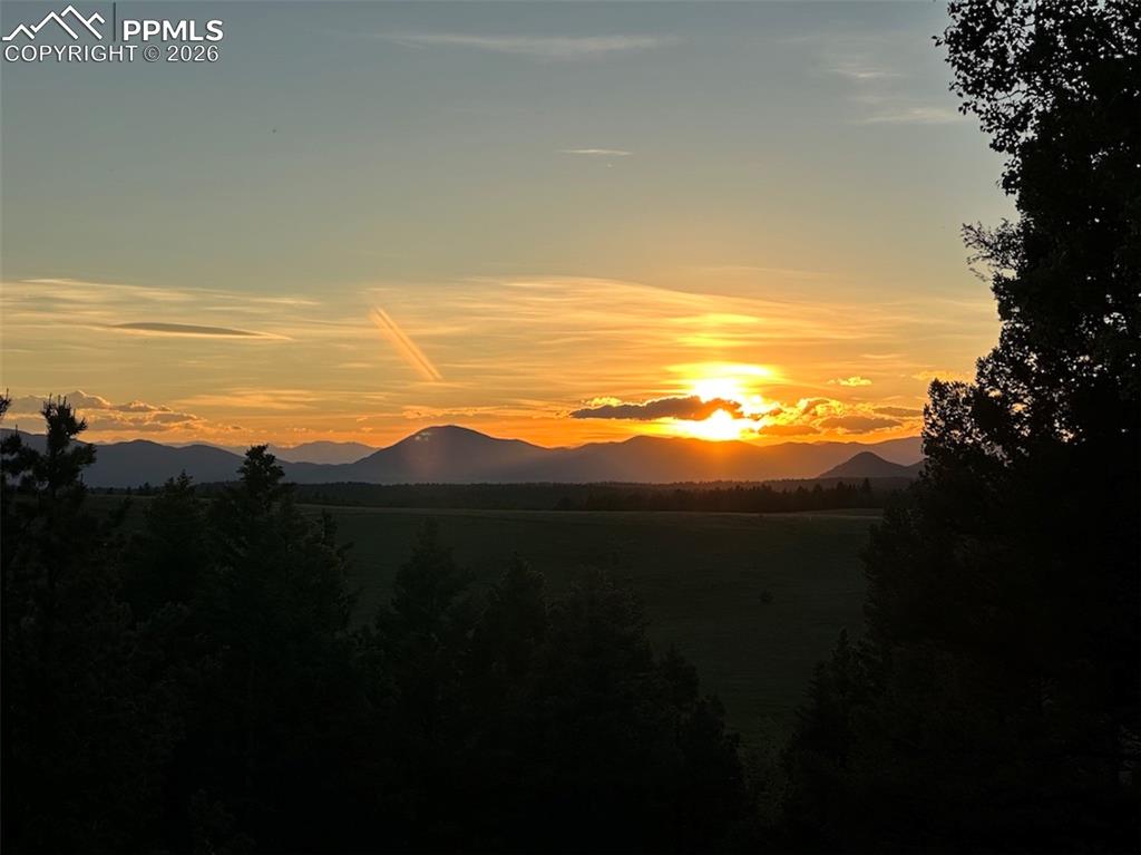 4600 Elk Valley Road Divide CO 80814