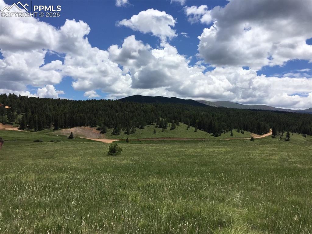 4600 Elk Valley Road Divide CO 80814