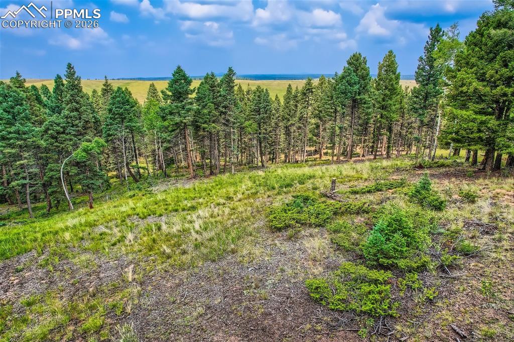 4600 Elk Valley Road Divide CO 80814