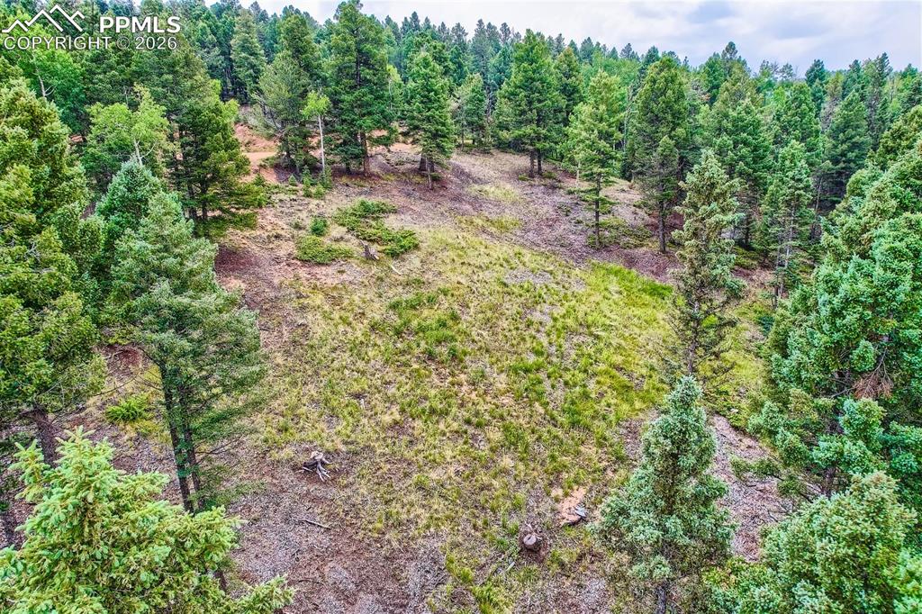 4600 Elk Valley Road Divide CO 80814