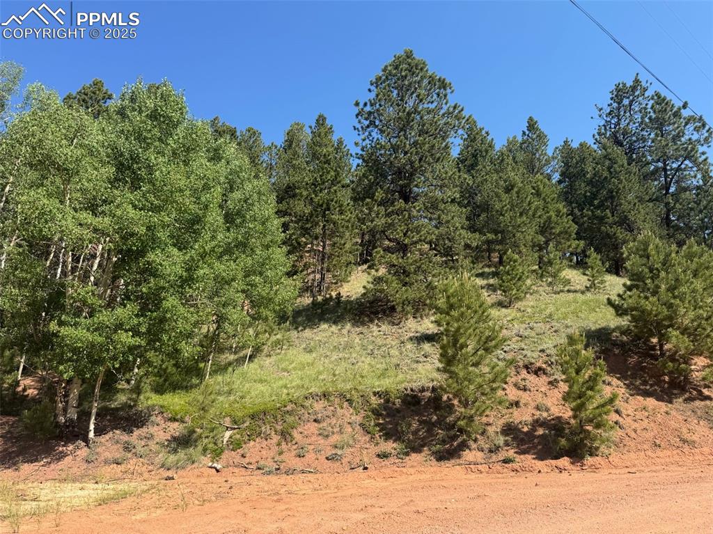281 Pikes Peak Drive Divide CO 80814