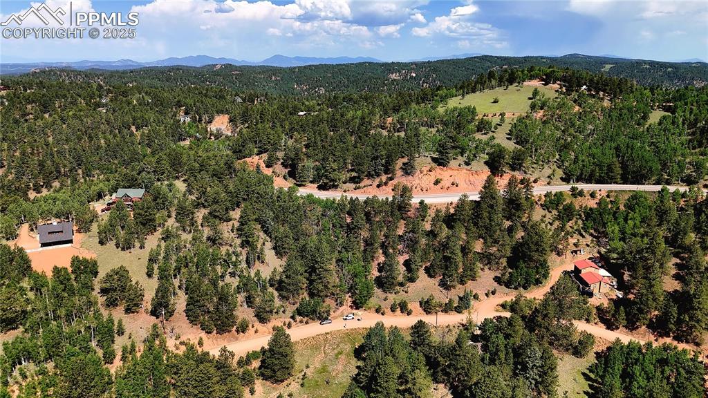 281 Pikes Peak Drive Divide CO 80814