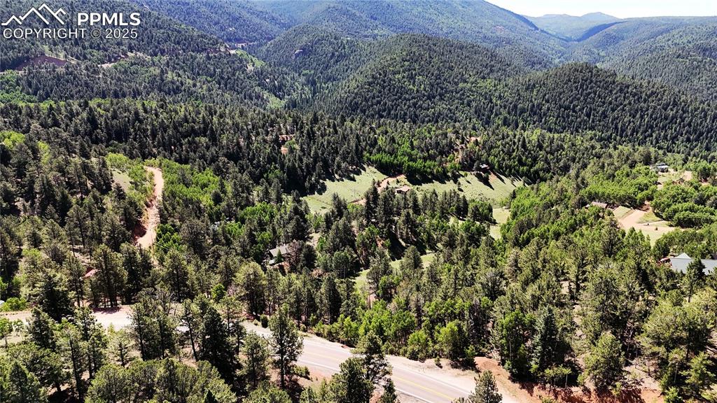 281 Pikes Peak Drive Divide CO 80814