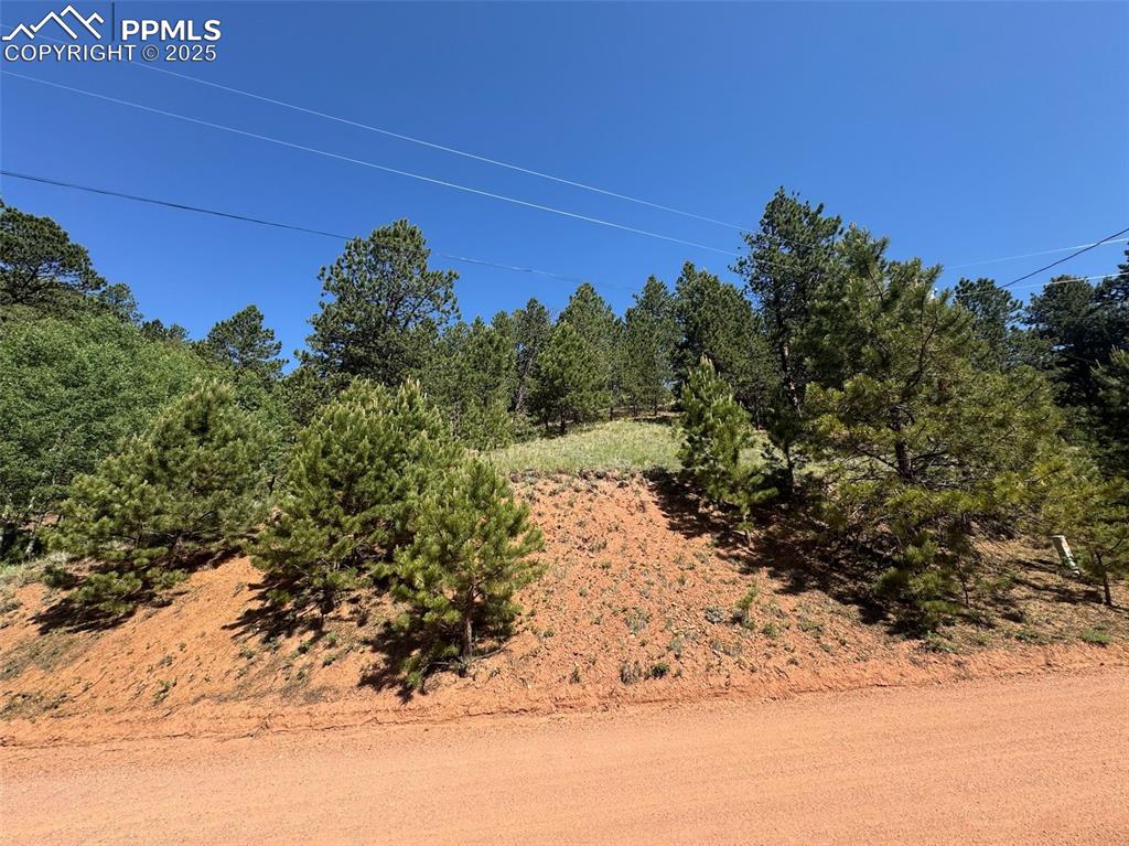 281 Pikes Peak Drive Divide CO 80814