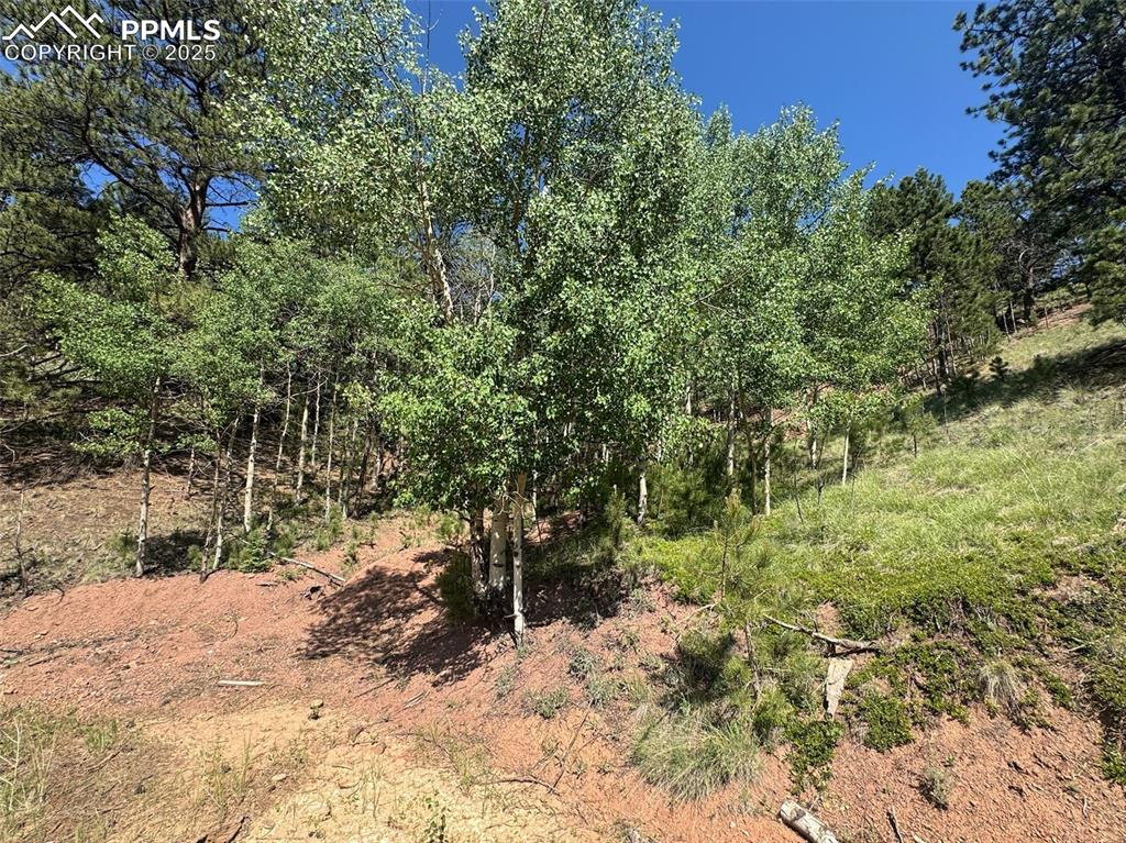 281 Pikes Peak Drive Divide CO 80814