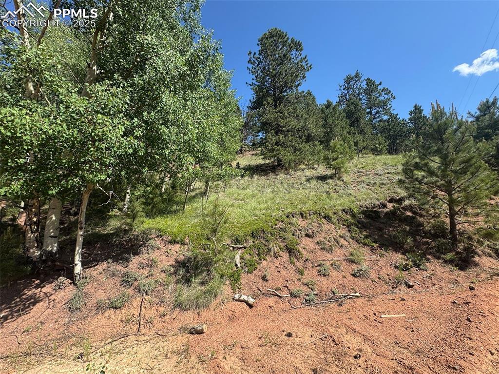281 Pikes Peak Drive Divide CO 80814