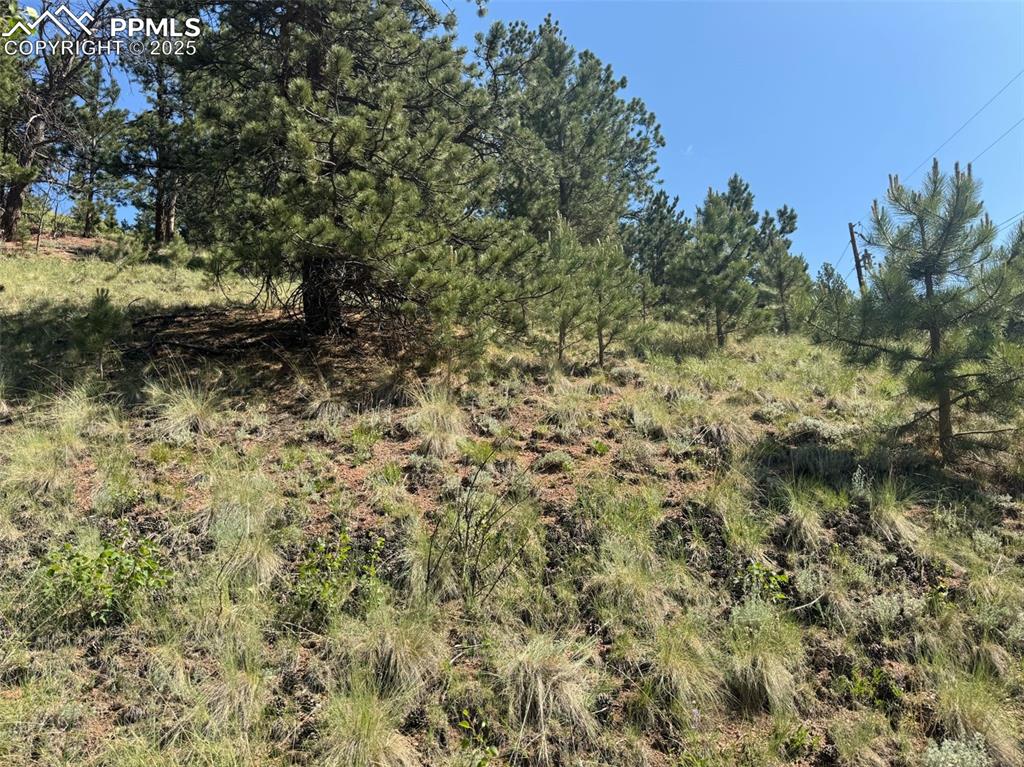 281 Pikes Peak Drive Divide CO 80814