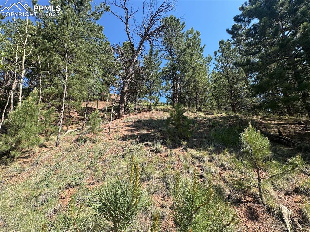 281 Pikes Peak Drive Divide CO 80814