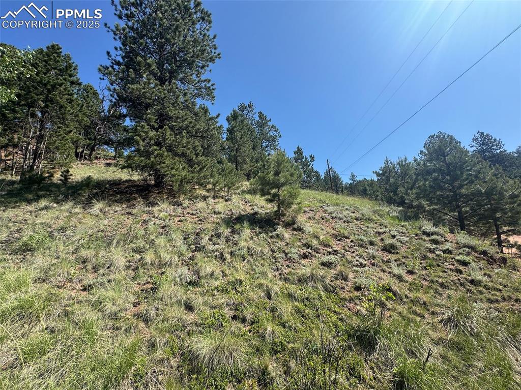 281 Pikes Peak Drive Divide CO 80814