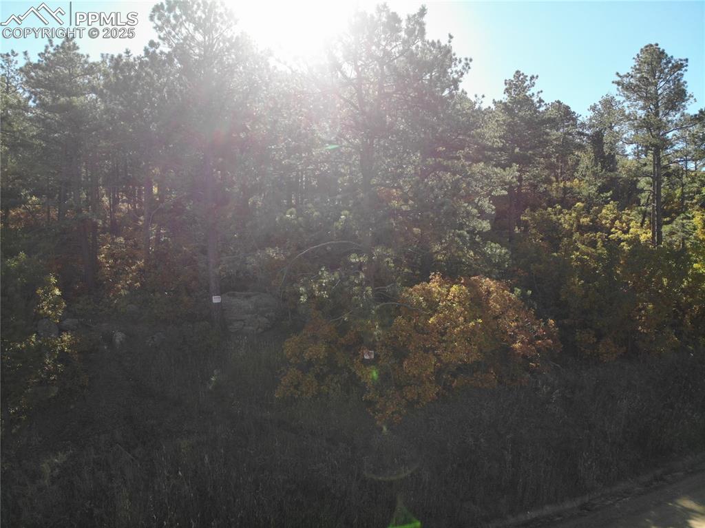 Oakdale Terrace Palmer Lake CO 80133