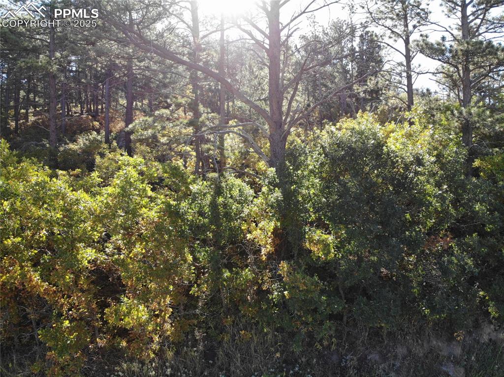 Oakdale Terrace Palmer Lake CO 80133