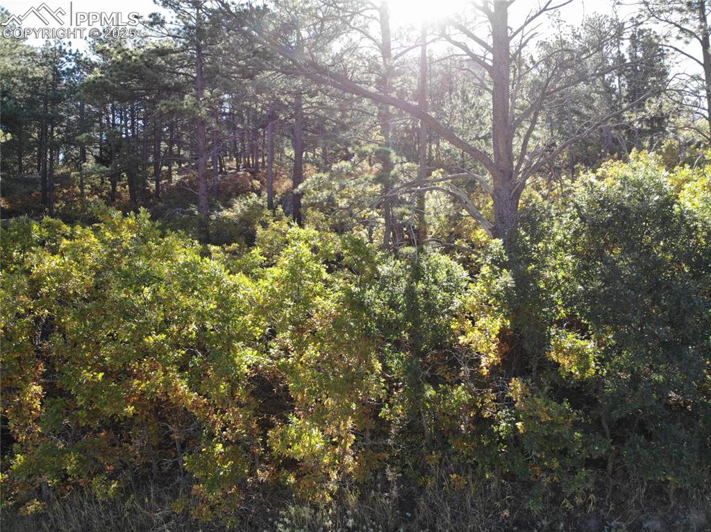 Oakdale Terrace Palmer Lake CO 80133