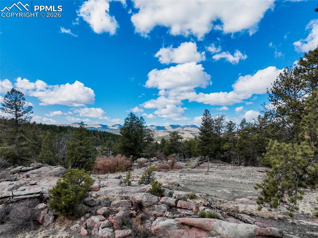 54 Ute Circle Florissant CO 80816
