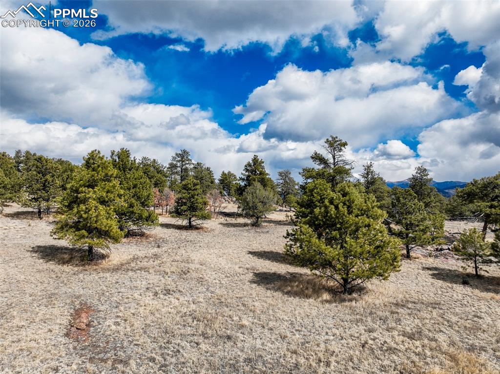 54 Ute Circle Florissant CO 80816