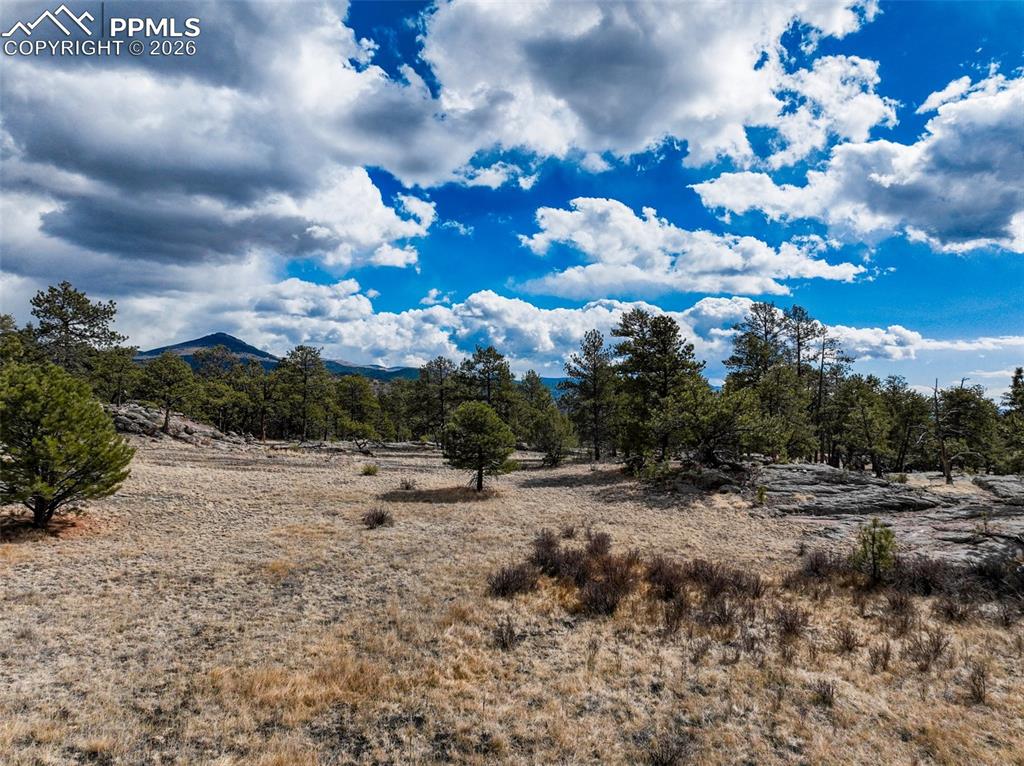 54 Ute Circle Florissant CO 80816