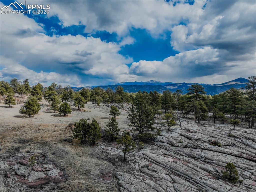 54 Ute Circle Florissant CO 80816