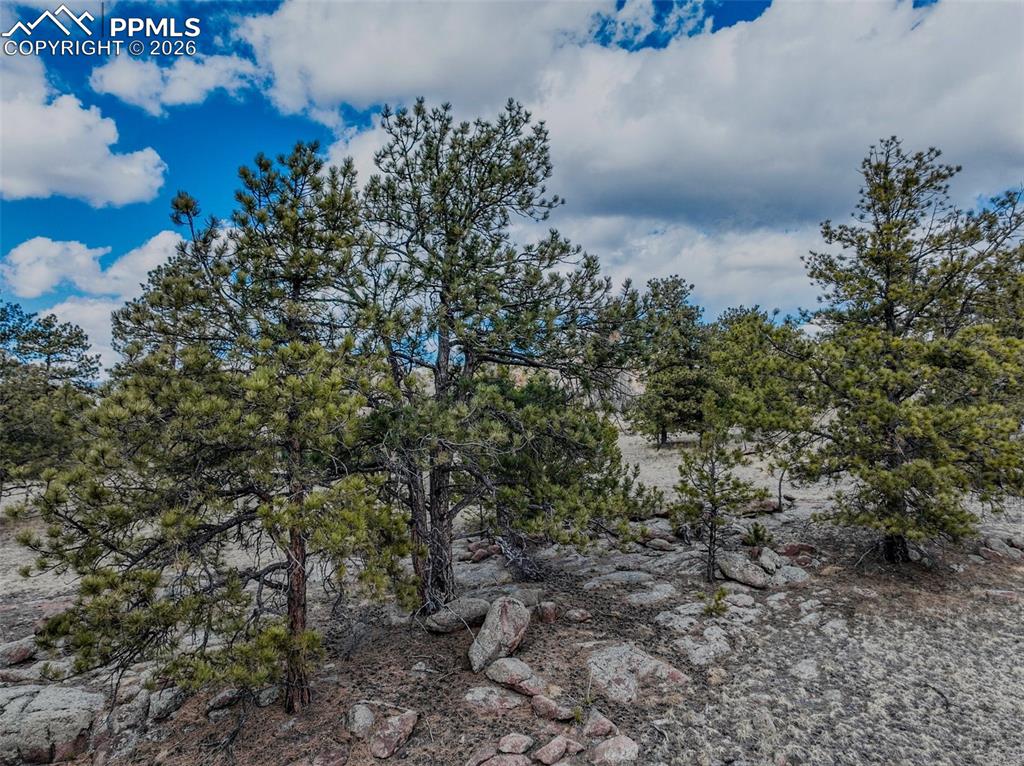 54 Ute Circle Florissant CO 80816